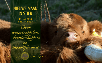 Nieuwe Maan in Stier op 15 mei 2018